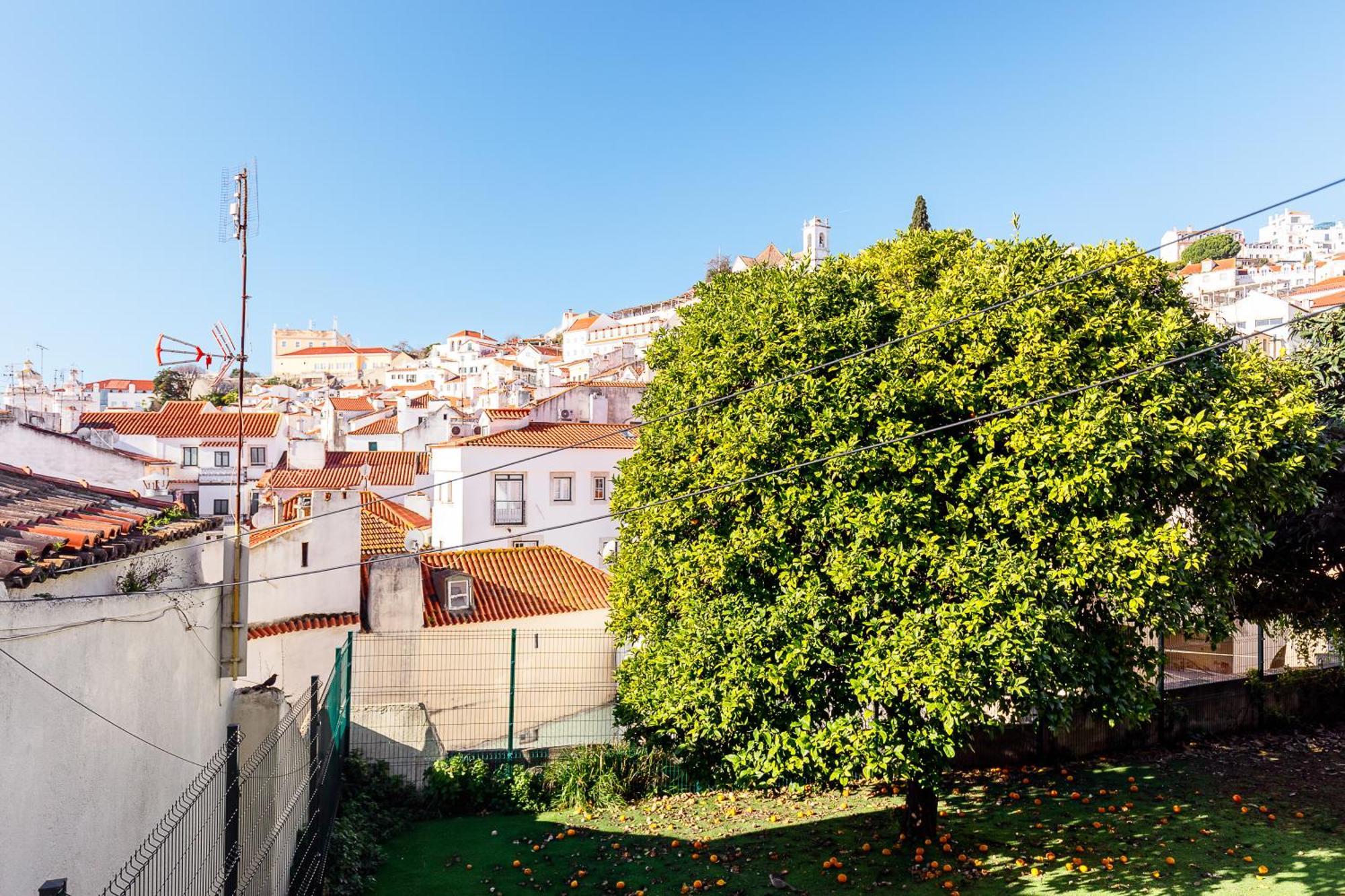 Pateo Santo Estevao-Self Catering Apartments Lisboa المظهر الخارجي الصورة